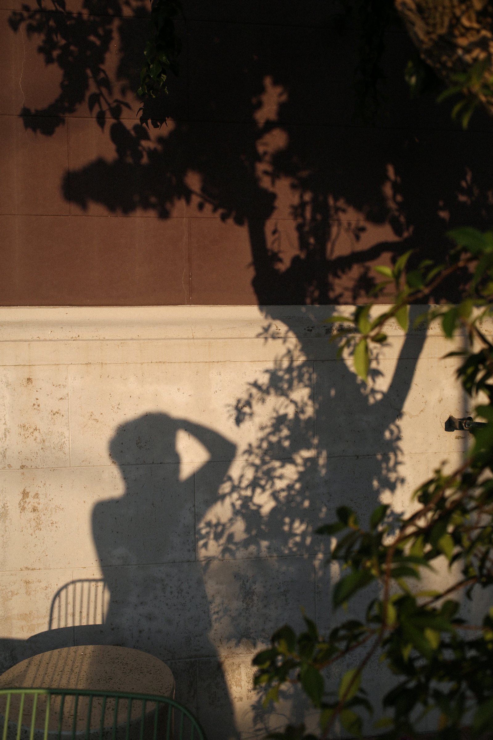Ombra di una fotografa che scatta, proiettata su un muro di Villa Paola con le ombre delle foglie