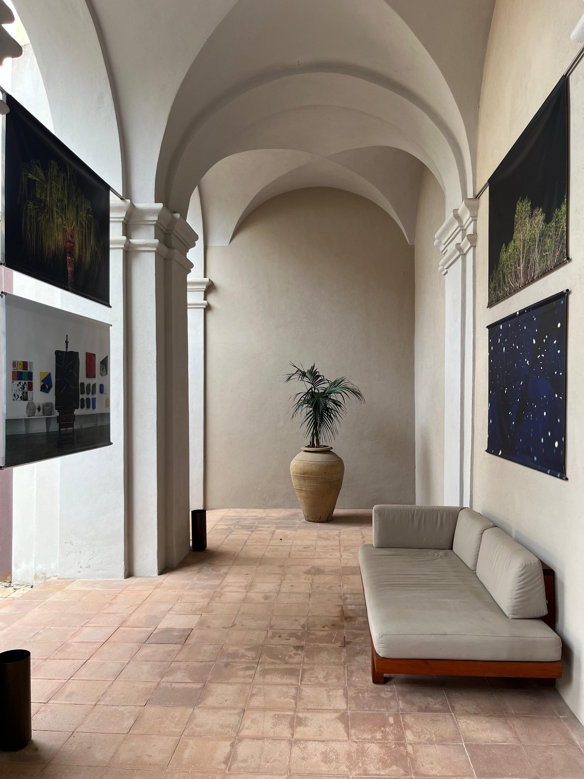Veduta dell'allestimento: fotografie notturne appese lungo le pareti di un portico, con una palma in vaso sullo sfondo